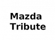 TRIBUTE